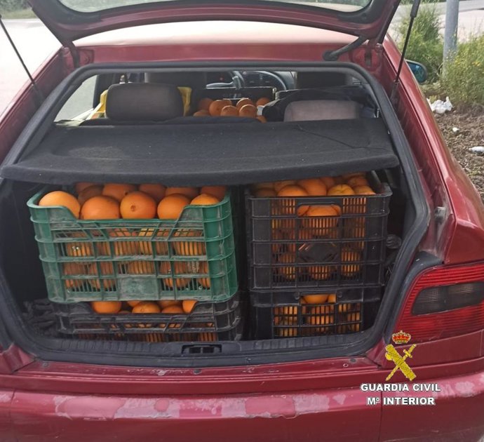 Vehículo cargado con naranjas sustraídas de dos explotaciones agrícolas