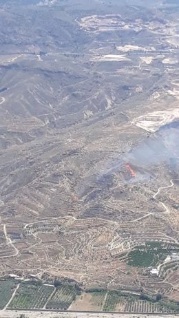 Incendio en Terque visto desde el aire