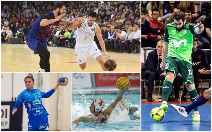 Ligas españolas de baloncesto, balonmano, waterpolo y fútbol sala