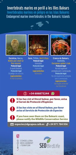 Campaña de colaboración ciudadana de la Conselleria de Medio Ambiente para detectar invertebrados en peligro