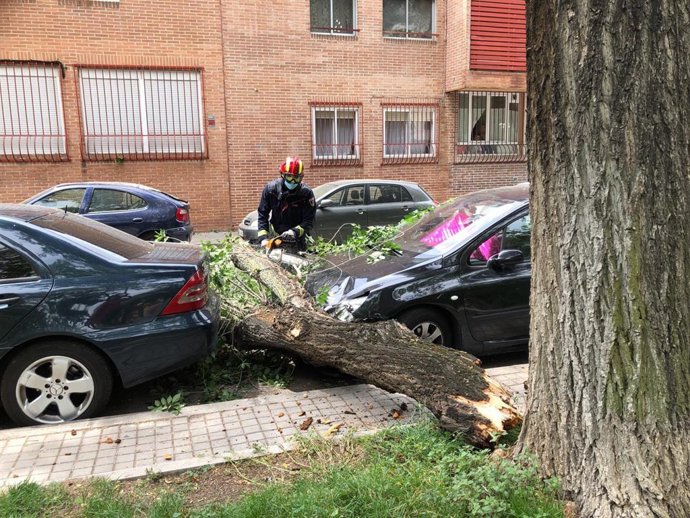 Cae una rama de grandes dimensiones sobre varios coches en Majadahonda