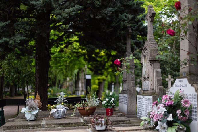Tumbas ubicadas en un cementerio