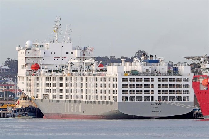 Coronavirus.- Detectado un brote de coronavirus a bordo de un carguero fondeado 