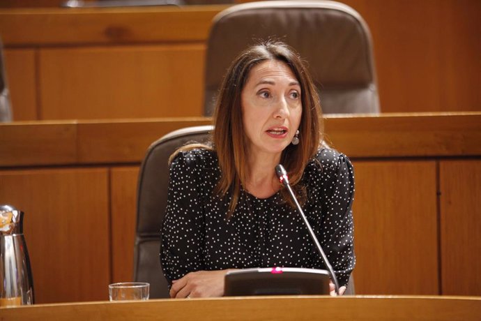 La Directora General de Trabajo del Gobierno de Aragón, María Soledad de la Puente.