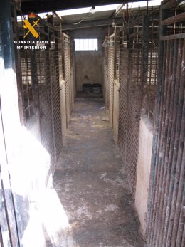 Instalaciones donde se encontraban los perros en Linares de Riofrío.
