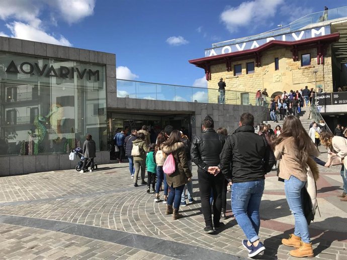 Visitas al Aquarium donostiarra.