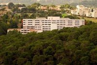 Las residencias de personas mayores de Baleares no notifican nuevos casos entre usuarios ni trabajadores