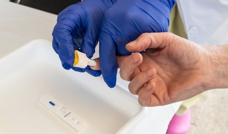 Investigación