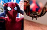 Foto: Tres niños provocan que les muerda una Viuda Negra para ser como Spider-Man