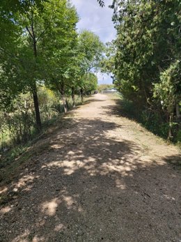 Jaén.- La Junta pone a punto el espacio de la Puerta Verde de Andújar y Marmolej