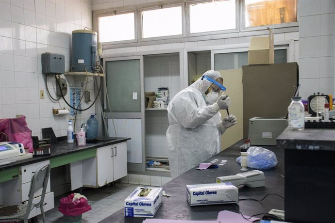 21 May 2020, Egypt, Gizeh: A picture made available on 23 May 2020 xous a medic analysing swabs taken from patients suspected to have contracted coronavirus at the 6th Of October Central Hospital.