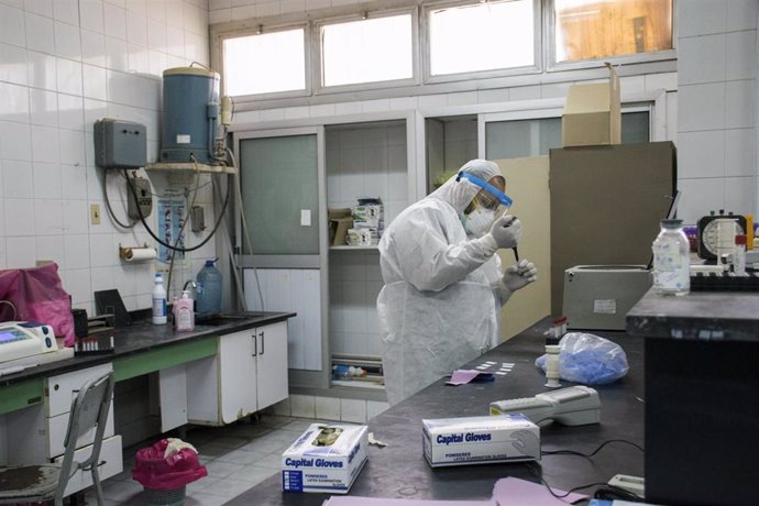 21 May 2020, Egypt, Giza: A picture made available on 23 May 2020 shows a medic analysing swabs taken from patients suspected to have contracted coronavirus at the 6th Of October Central Hospital.
