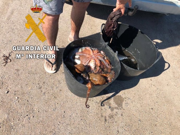 Almería.-Sucesos.- Intervenidos 30 kilos de pulpo a dos buceadores en Roquetas d