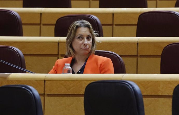 La senadora del PSOE de La Rioja María Victoria de Pablo Dávila, en la Comisión General de Comunidades Autónomas celebrada en el Senado este jueves a cuenta de la gestión de la pandemia de la COVID-19, en Madrid (España), a 30 de abril de 2020.