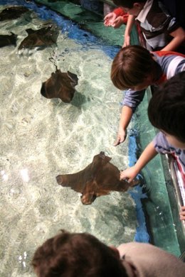 Aquarium Costa de Almería, en Roquetas de Mar (Almería)