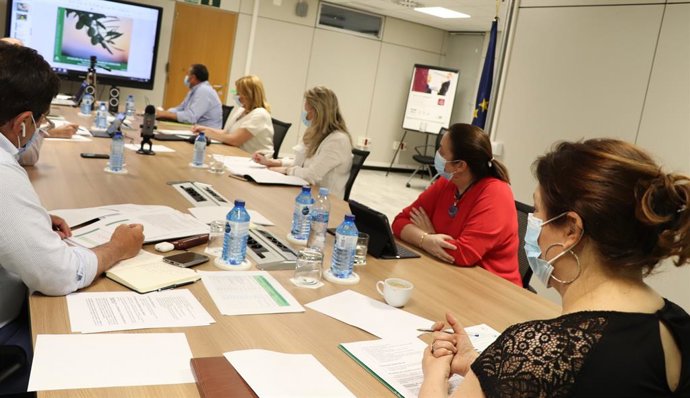 Imagen de la reunión del Consejo Andaluz del Olivar, presidido por la consejera de Agricultura, Carmen Crespo. 
