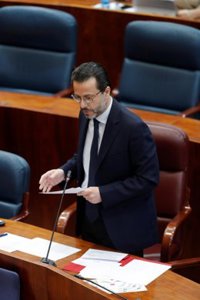 PSOE acusa a la Comunidad de ocultar información en los contratos públicos y Laquetty defiende "transparencia"