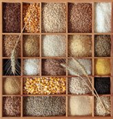 Foto: El valor nutricional de los cereales "mejora" cuando se combinan con legumbres o alimentos de origen animal