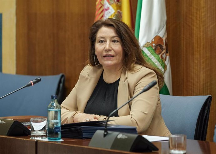 Carmen Crespo, en comisión parlamentaria