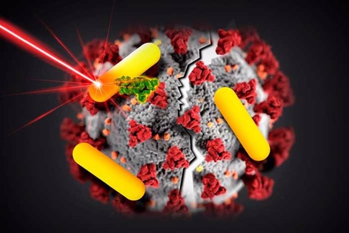 Recreación de la aplicación de nanofuentes de calor al virus SARS-CoV-2