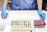 454 municipios de la Comunitat Valenciana el 84% del total, no han tenido positivos Covid en los últimos 14 días