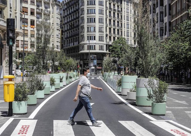Un hombre cruza por un paso de cebra al lado de los maceteros colocados en la Plaza del Ayuntamiento de Valencia