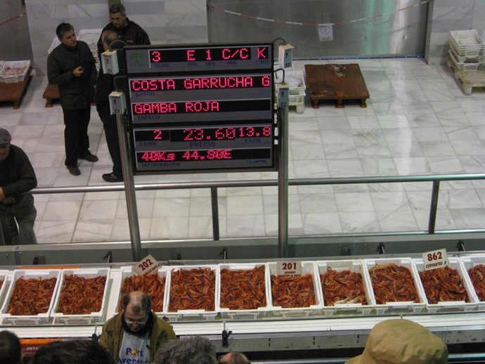 Subasta de gamba roja de Garrucha (Almería)