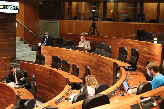 El consejero de Ciencia, Innovación y Universidad, Borja Sánchez, en comisión parlamentaria.