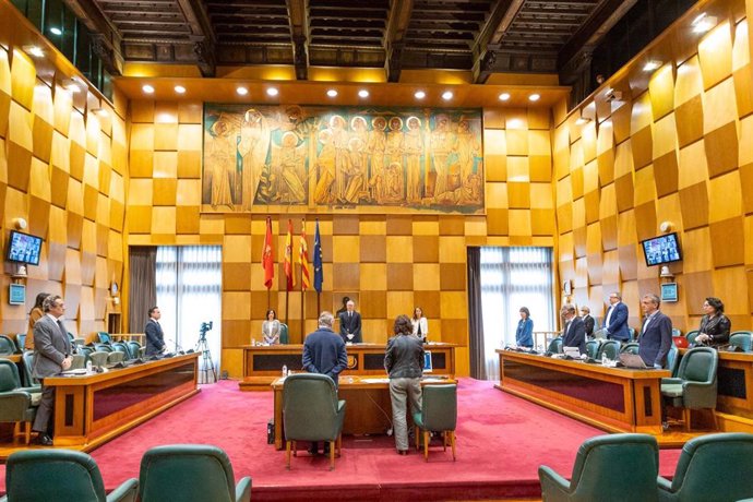Pleno del Ayuntamiento de Zaragoza en estado de alarma