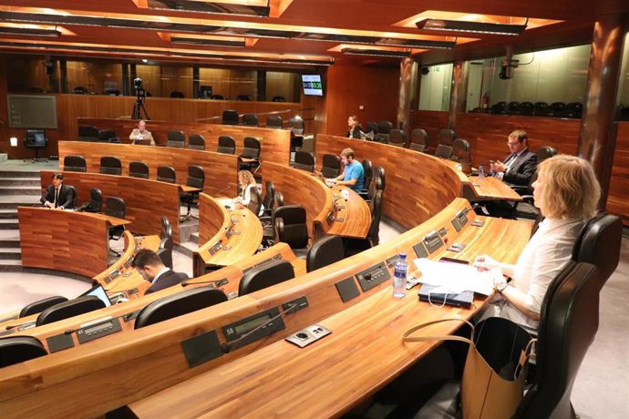 El consejero de Ciencia, Innovación y Universidad, Borja Sánchez (a la izquierda), comparece en la comisión del ramo en el parlamento asturiano.