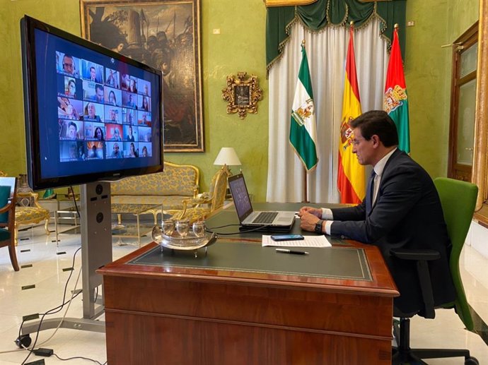 El alcalde de Granada, Luis Salvador, en una reunión telemática durante este periodo de estado de alarma