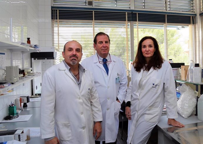 Equipo del Laboratorio de Fotobiología Dermatológica de la Universidad de Málaga.