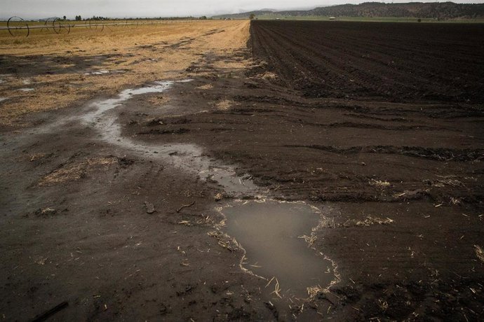 Efecto de la sequía en California