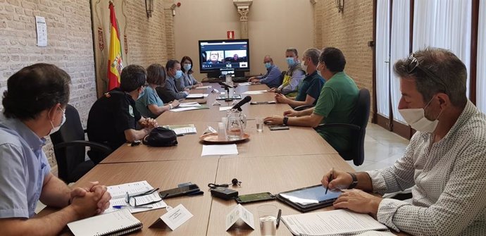 Comité Asesor Provincial del Dispositivo para la Prevención y Extinción de Incendios Forestales en Sevilla
