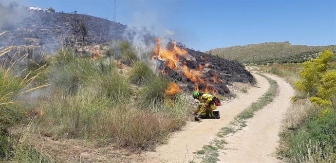 Conato de incendio en Dehesas de Guadix