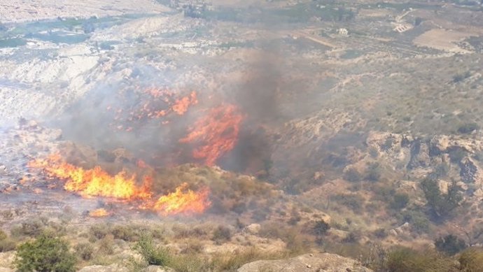 Llamas en el incendio forestal de Terque (Almería)