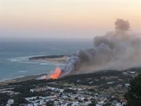El incendio de Los Caños de Meca (Cádiz) afecta a media hectárea de matorral y pinar
