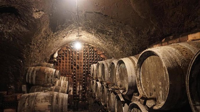 El Ayuntamiento de Tabuenca iniciará la recuperación del entorno de las bodegas del cerro.