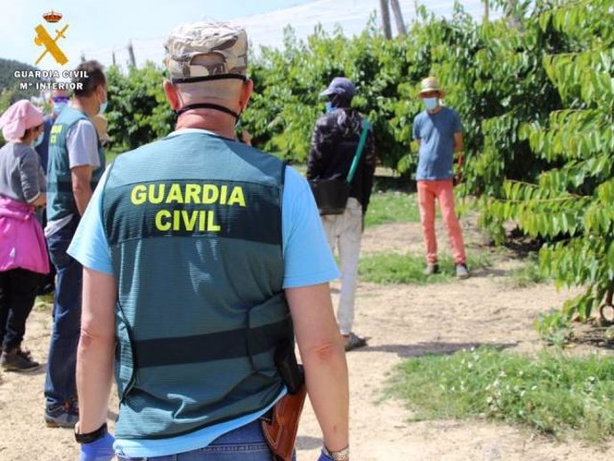 Inspecciones de la Guardia Civil en explotaciones agrícolas