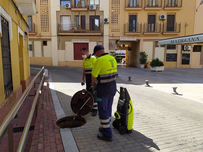 Control de plagas del Ayuntamiento de Huelva