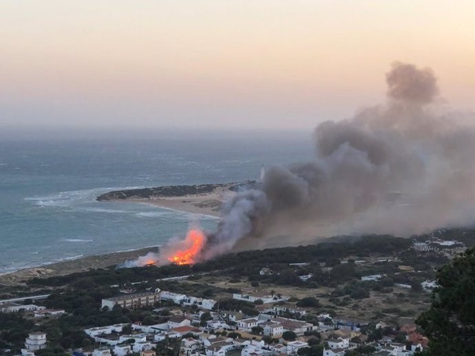 Incendio forestal en el Pinar de los Caños de Barbate (Cádiz)