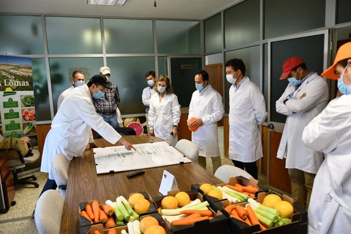 Cádiz.- Junta destaca el empuje y la calidad del sector hortofrutícola en la pro