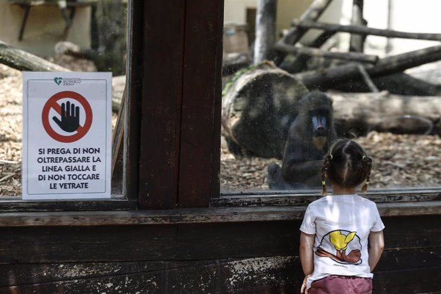 Reabren los zoos de Italia tras la cuarentena por coronavirus