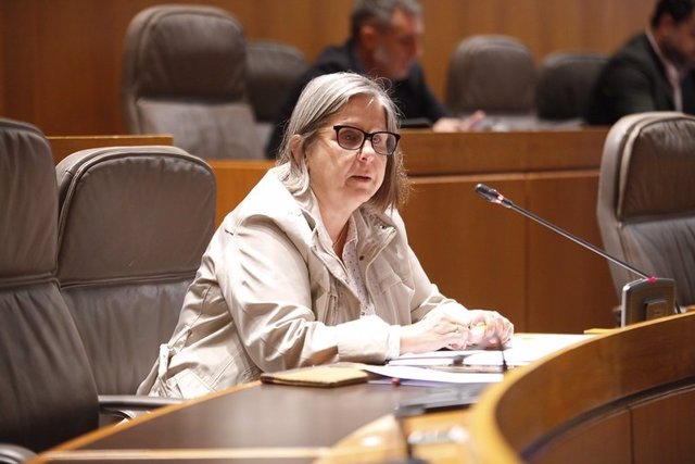 La portavoz de Ciudadanos en Institucional y de Desarrollo Estatutario, Beatriz García