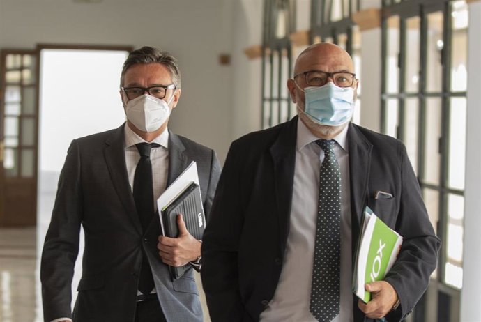 El portavoz del grupo parlamentario Vox, Alejandro Hernández (d), junto al presidente de la comision, Manuel Gavira (i)