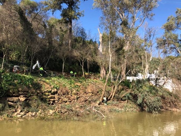 Trabajos en el Monumento Natural de las Riberas del Guadaíra