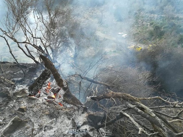 Restos de un árbol, aún encendidos, en un incendio forestal en Bunyola en febrero.