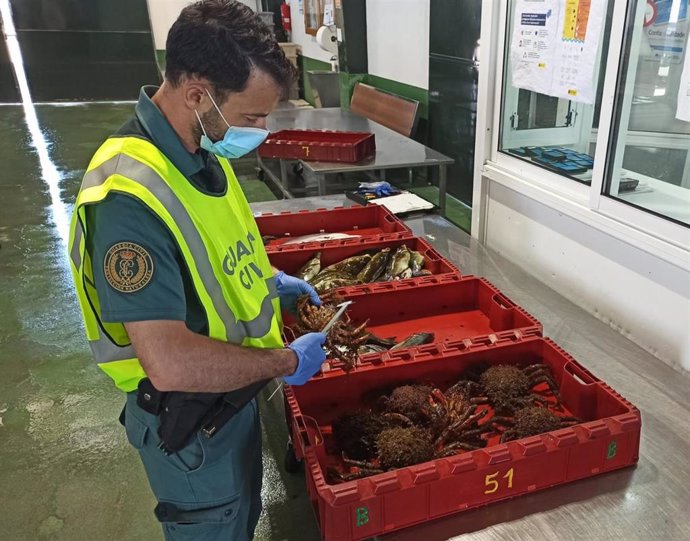 La Guardia Civil requisa en Baiona una partida de marisco y pescado extraído de forma ilegal.