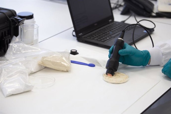 Software de Chemometric Brain