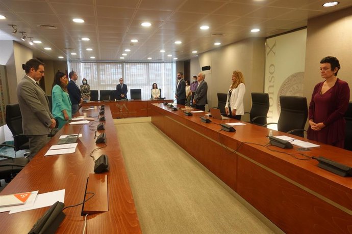 Reunión de la Comisión de estudio sobre el Plan de Reactivación Económica y Social